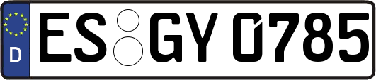 ES-GY0785