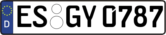 ES-GY0787