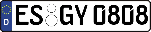 ES-GY0808