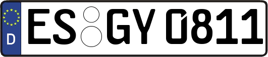 ES-GY0811