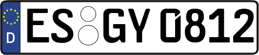 ES-GY0812
