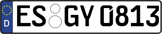 ES-GY0813