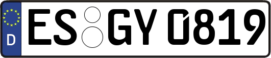 ES-GY0819