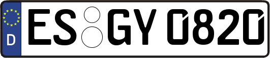 ES-GY0820