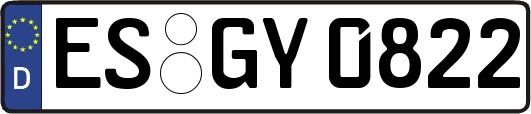 ES-GY0822