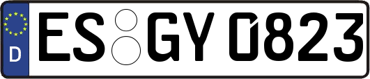 ES-GY0823