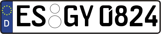 ES-GY0824