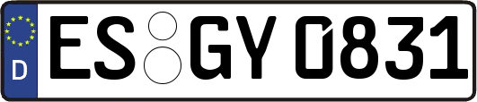 ES-GY0831