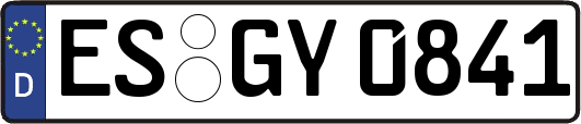 ES-GY0841