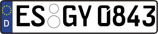 ES-GY0843