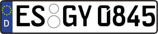 ES-GY0845