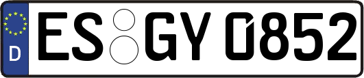 ES-GY0852