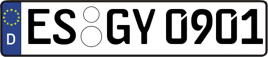 ES-GY0901