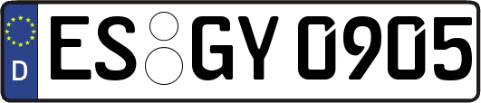 ES-GY0905