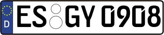 ES-GY0908