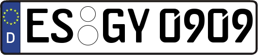 ES-GY0909