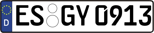 ES-GY0913