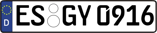ES-GY0916