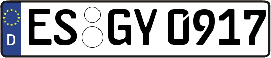 ES-GY0917