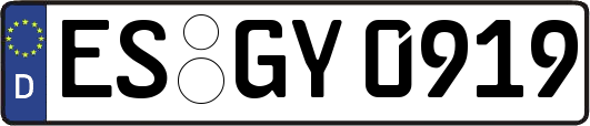 ES-GY0919