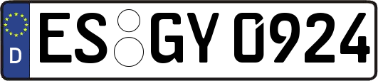 ES-GY0924