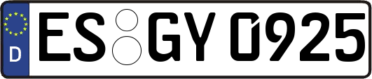 ES-GY0925
