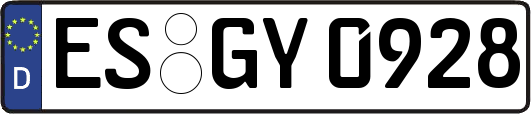 ES-GY0928