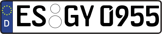 ES-GY0955