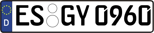 ES-GY0960