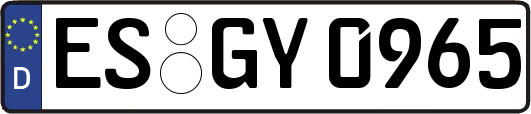 ES-GY0965