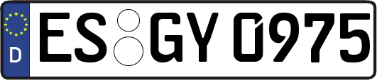 ES-GY0975