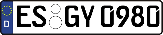 ES-GY0980