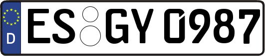 ES-GY0987