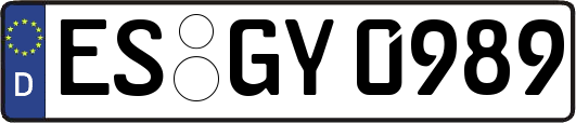 ES-GY0989