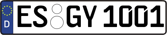 ES-GY1001