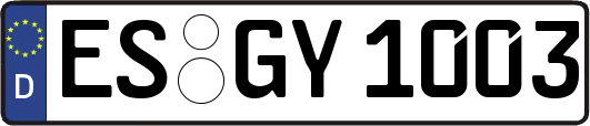 ES-GY1003