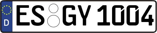 ES-GY1004