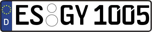 ES-GY1005