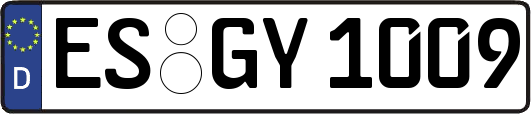 ES-GY1009