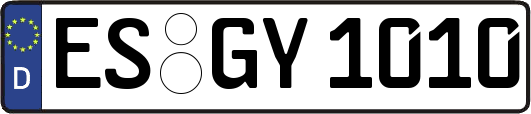 ES-GY1010