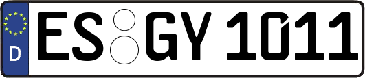 ES-GY1011