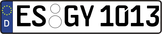ES-GY1013