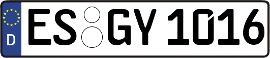 ES-GY1016