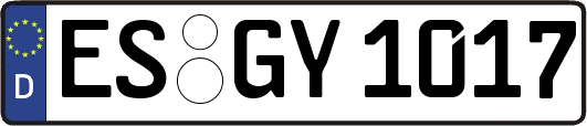 ES-GY1017
