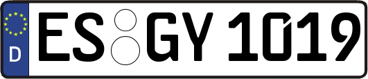 ES-GY1019