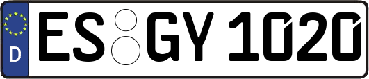 ES-GY1020