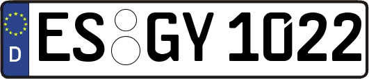 ES-GY1022