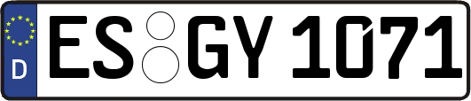 ES-GY1071