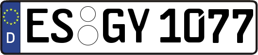 ES-GY1077