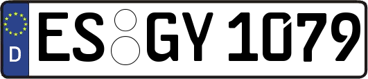 ES-GY1079